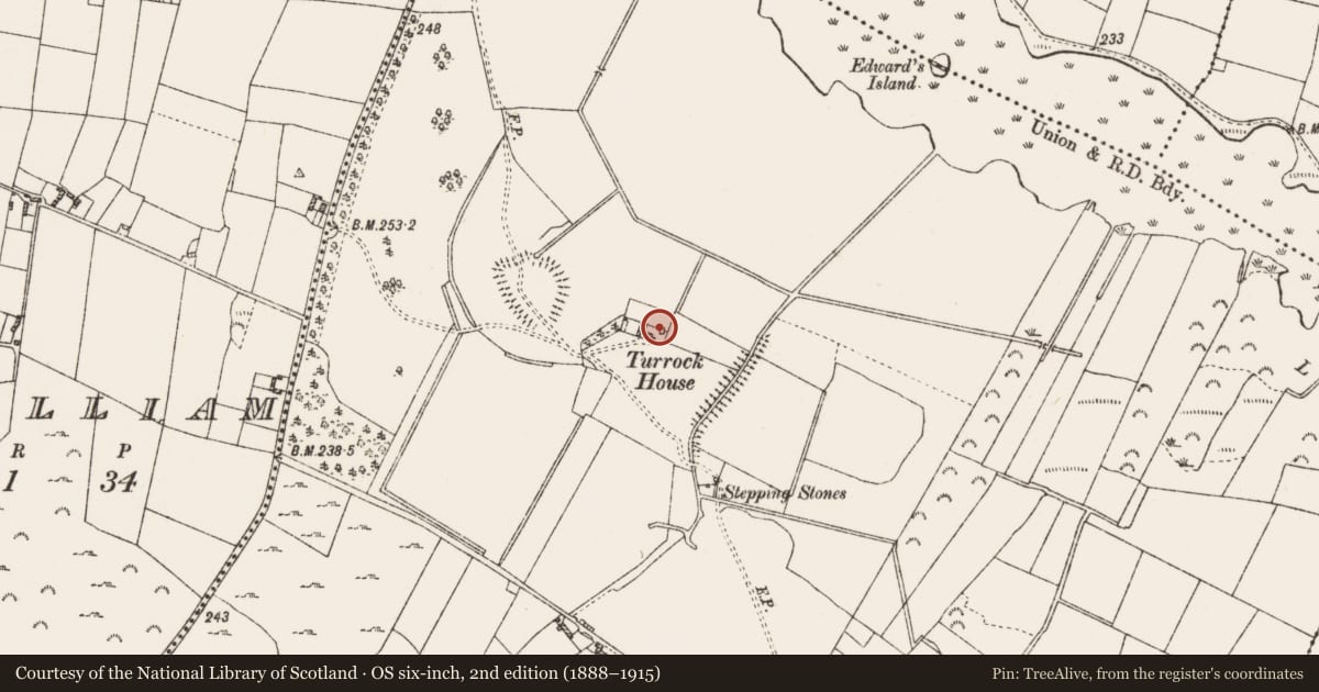 Ordnance Survey six-inch map, 2nd edition (1888–1915) covering the location of House - 17th century, Turrock, County Roscommon, with a pin at the register's coordinates