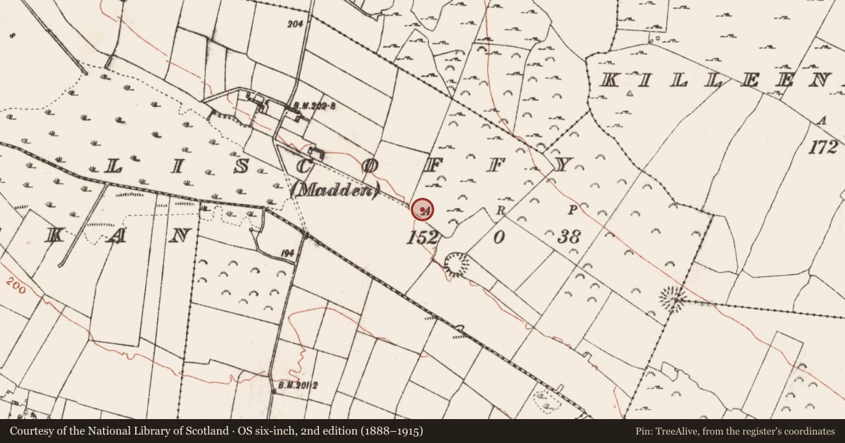 Ordnance Survey six-inch map, 2nd edition (1888–1915) covering the location of Fulacht fia, Liscoffy (Madden), County Roscommon, with a pin at the register's coordinates