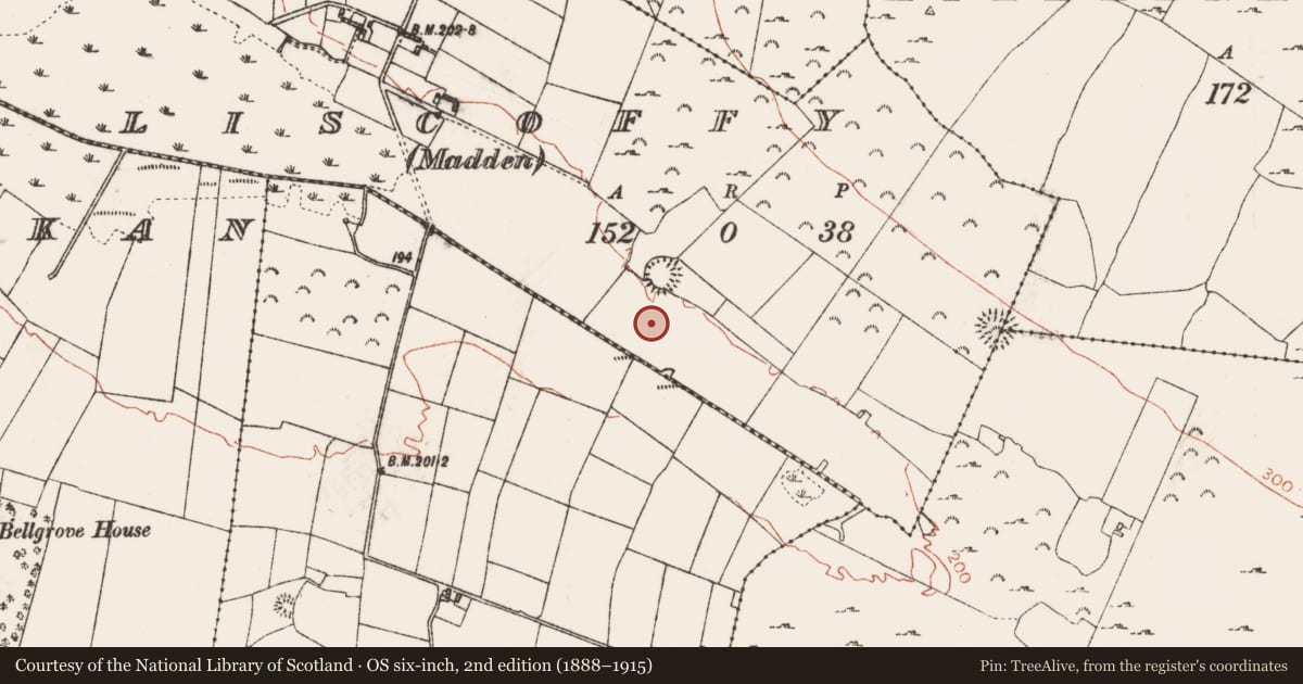 Ordnance Survey six-inch map, 2nd edition (1888–1915) covering the location of Fulacht fia, Liscoffy (Madden), County Roscommon, with a pin at the register's coordinates