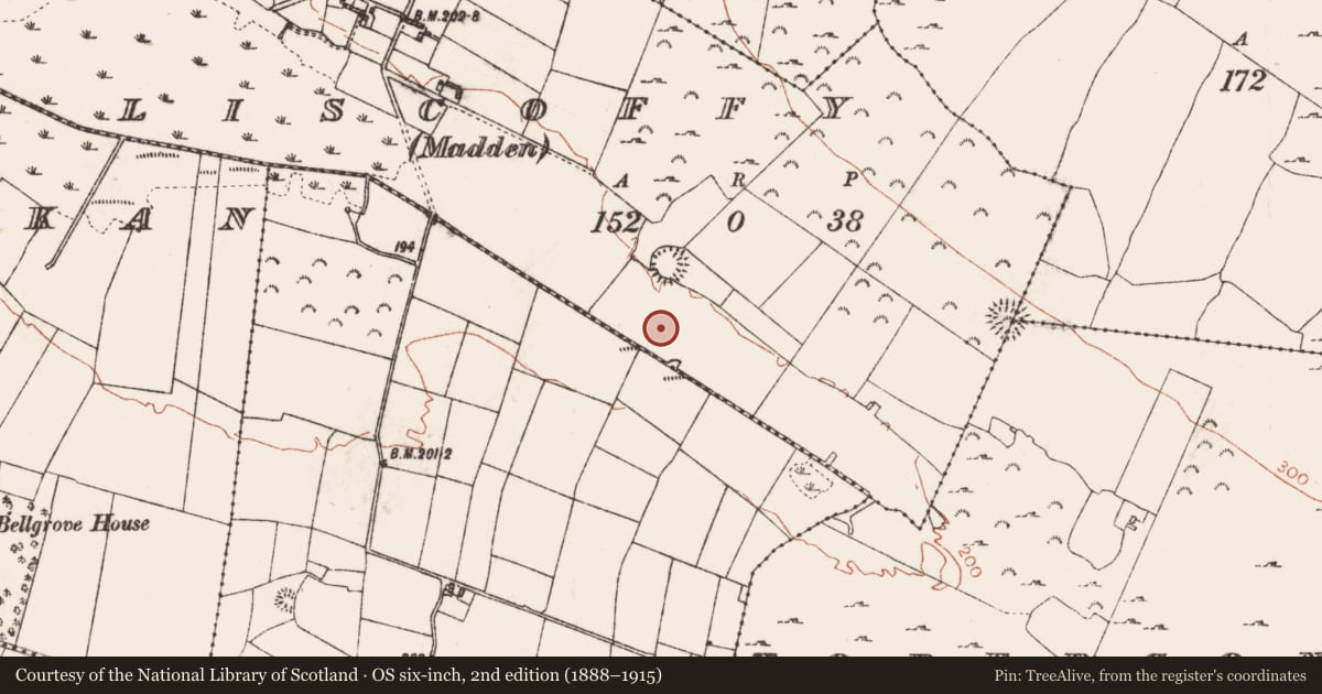 Ordnance Survey six-inch map, 2nd edition (1888–1915) covering the location of Fulacht fia, Liscoffy (Madden), County Roscommon, with a pin at the register's coordinates