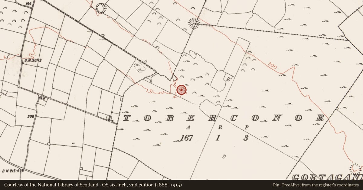 Ordnance Survey six-inch map, 2nd edition (1888–1915) covering the location of Fulacht fia, Toberconor, County Roscommon, with a pin at the register's coordinates