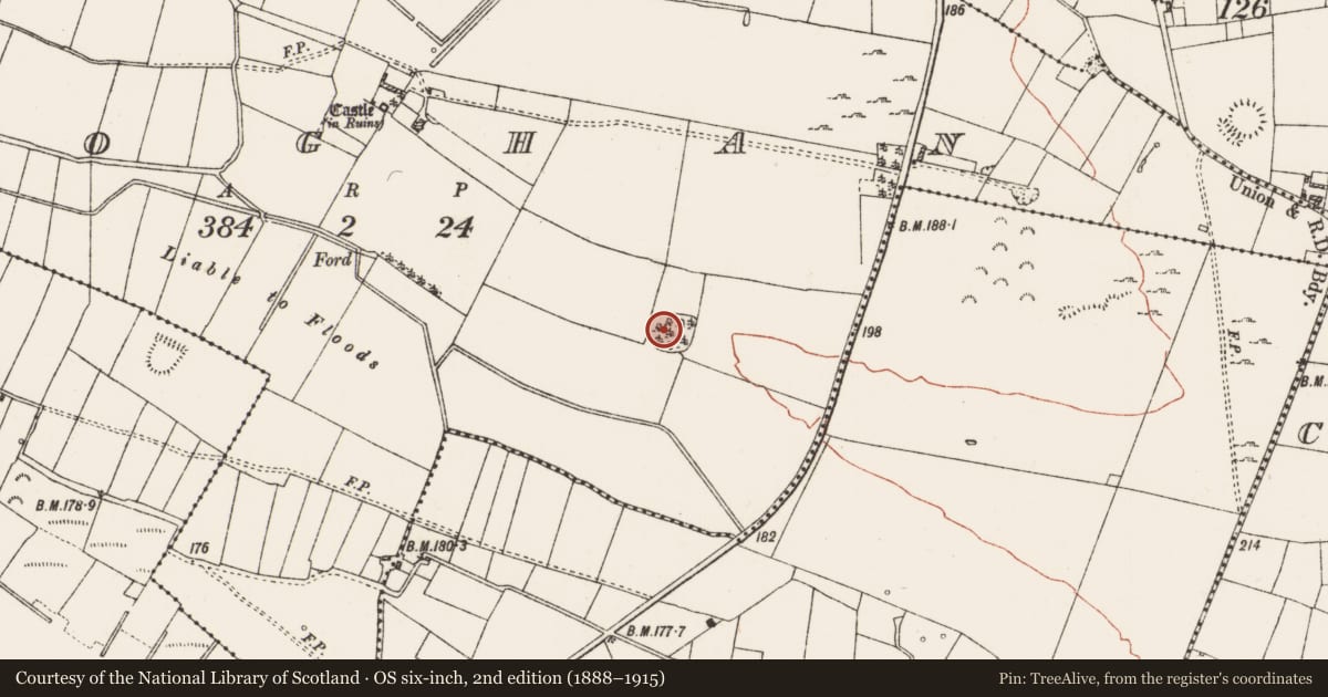 Ordnance Survey six-inch map, 2nd edition (1888–1915) covering the location of Enclosure, Cloghan, County Roscommon, with a pin at the register's coordinates