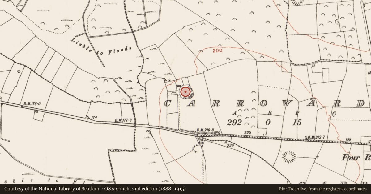 Ordnance Survey six-inch map, 2nd edition (1888–1915) covering the location of Enclosure, Carroward, County Roscommon, with a pin at the register's coordinates