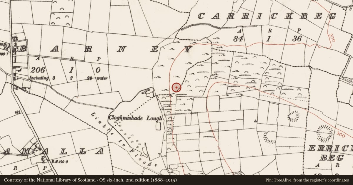 Ordnance Survey six-inch map, 2nd edition (1888–1915) covering the location of Ringfort - cashel, Cloghnashade, Tibarney, County Roscommon, with a pin at the register's coordinates