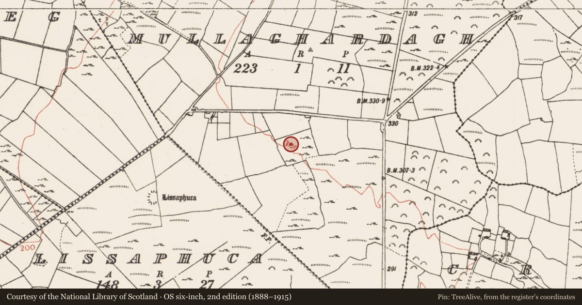 Ordnance Survey six-inch map, 2nd edition (1888–1915) covering the location of Earthwork, Mullaghardagh, County Roscommon, with a pin at the register's coordinates