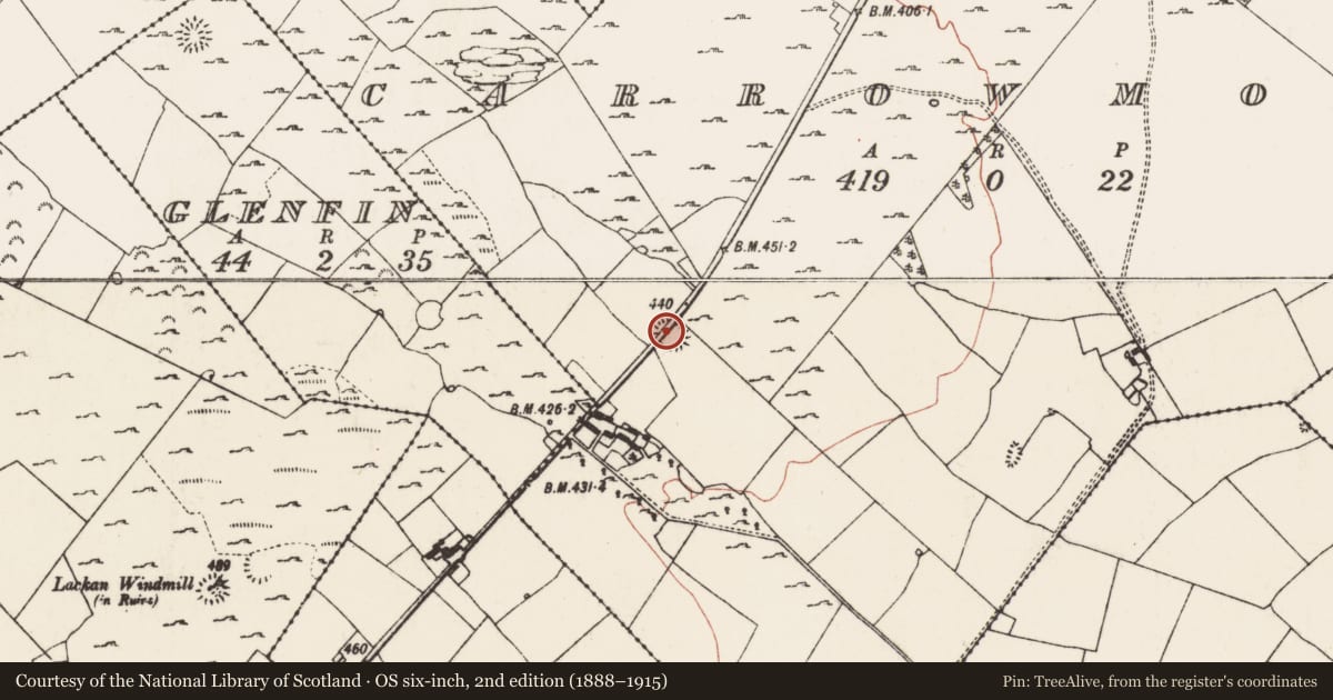 Ordnance Survey six-inch map, 2nd edition (1888–1915) covering the location of Ringfort - rath, Carrowmoney, County Roscommon, with a pin at the register's coordinates