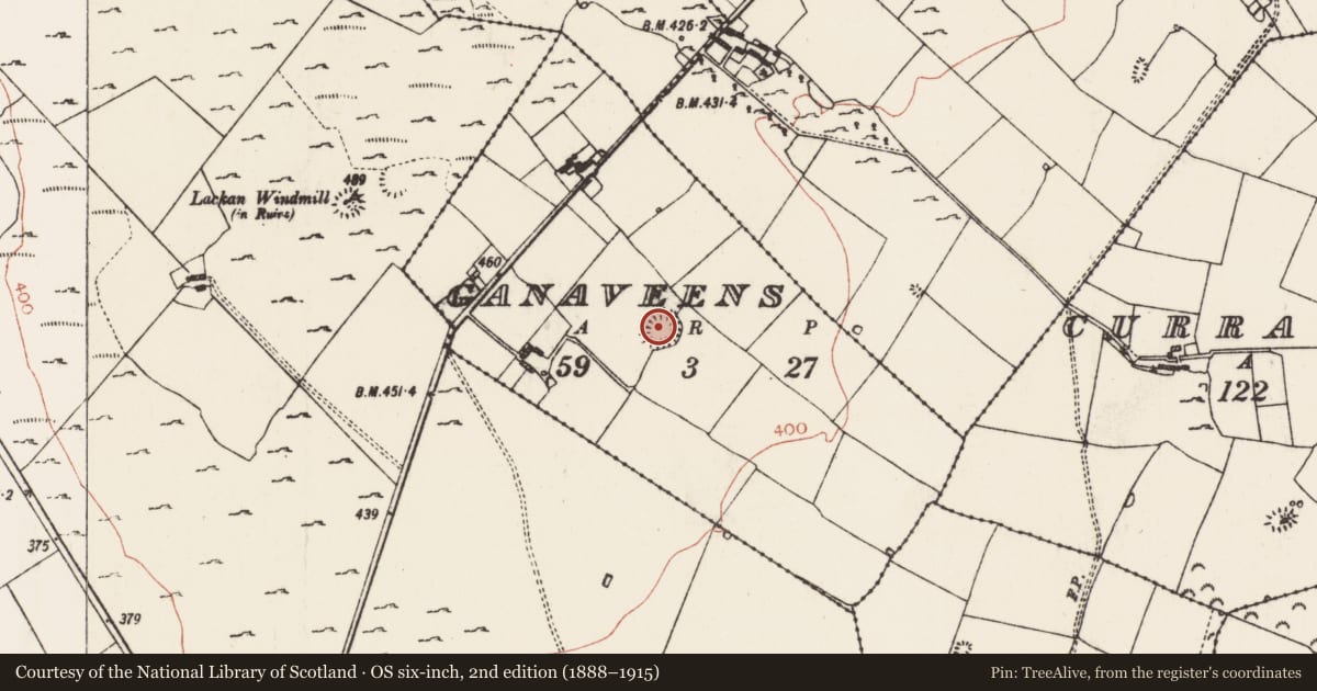 Ordnance Survey six-inch map, 2nd edition (1888–1915) covering the location of Ringfort - rath, Ganaveens, County Roscommon, with a pin at the register's coordinates