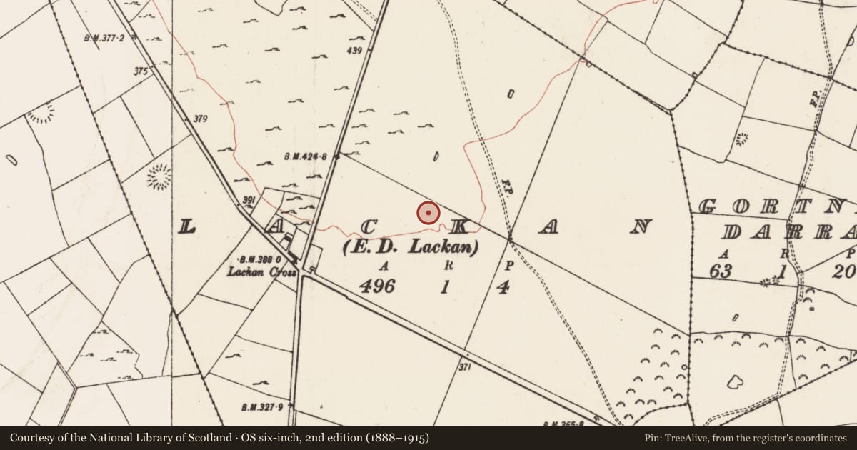 Ordnance Survey six-inch map, 2nd edition (1888–1915) covering the location of Ringfort - rath, Lackan, County Roscommon, with a pin at the register's coordinates