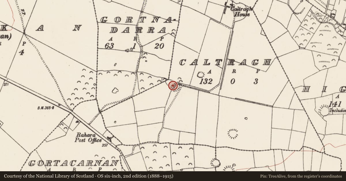 Ordnance Survey six-inch map, 2nd edition (1888–1915) covering the location of Ringfort - rath, Caltragh, County Roscommon, with a pin at the register's coordinates