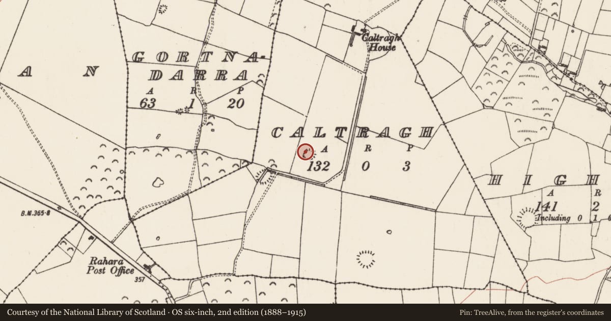 Ordnance Survey six-inch map, 2nd edition (1888–1915) covering the location of Ringfort - rath, Caltragh, County Roscommon, with a pin at the register's coordinates