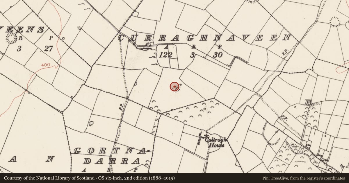 Ordnance Survey six-inch map, 2nd edition (1888–1915) covering the location of Ringfort - rath, Curraghnaveen, County Roscommon, with a pin at the register's coordinates
