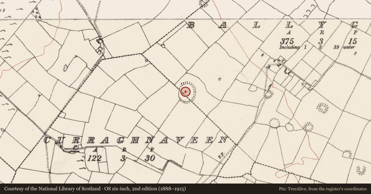 Ordnance Survey six-inch map, 2nd edition (1888–1915) covering the location of Enclosure - large enclosure, Ballyglass, Curraghnaveen, County Roscommon, with a pin at the register's coordinates