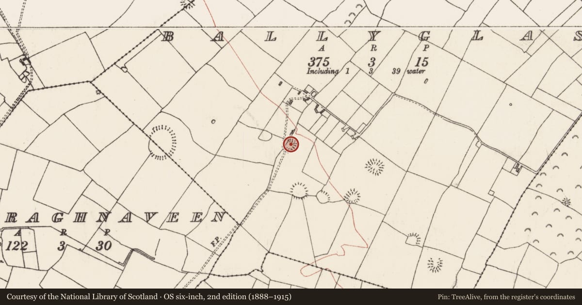 Ordnance Survey six-inch map, 2nd edition (1888–1915) covering the location of Ringfort - rath, Ballyglass, County Roscommon, with a pin at the register's coordinates