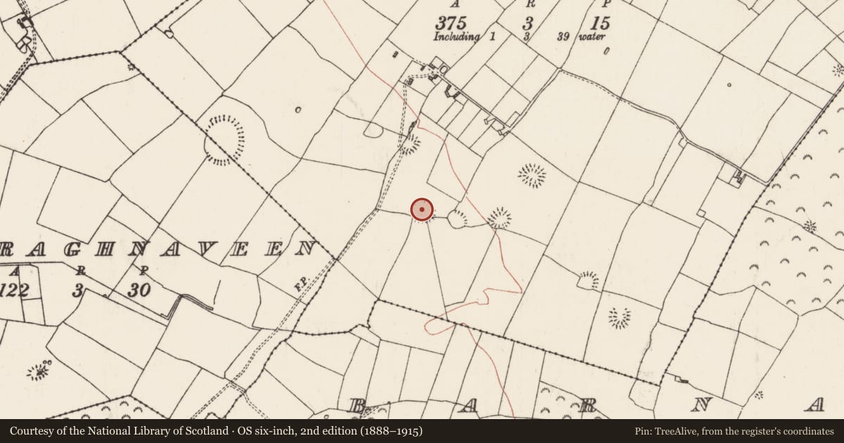 Ordnance Survey six-inch map, 2nd edition (1888–1915) covering the location of Ringfort - rath, Ballyglass, County Roscommon, with a pin at the register's coordinates
