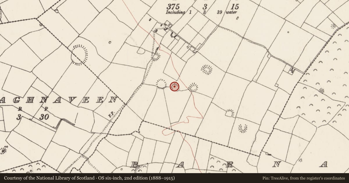 Ordnance Survey six-inch map, 2nd edition (1888–1915) covering the location of Ringfort - rath, Ballyglass, County Roscommon, with a pin at the register's coordinates