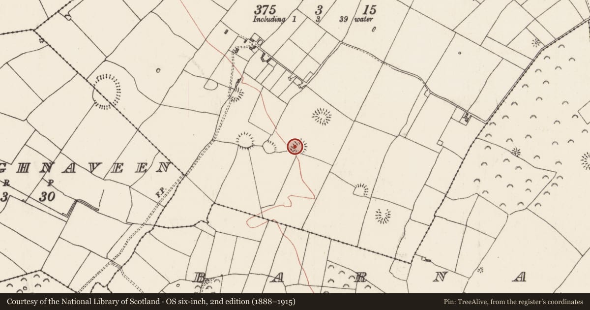 Ordnance Survey six-inch map, 2nd edition (1888–1915) covering the location of Ringfort - rath, Ballyglass, County Roscommon, with a pin at the register's coordinates