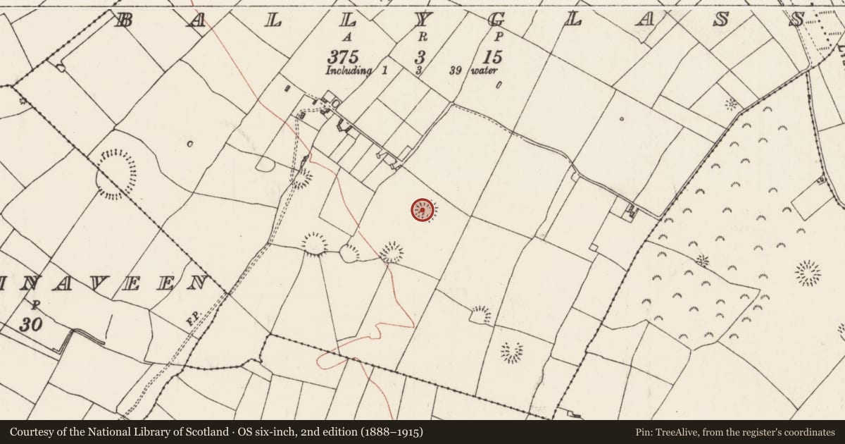 Ordnance Survey six-inch map, 2nd edition (1888–1915) covering the location of Ringfort - rath, Ballyglass, County Roscommon, with a pin at the register's coordinates