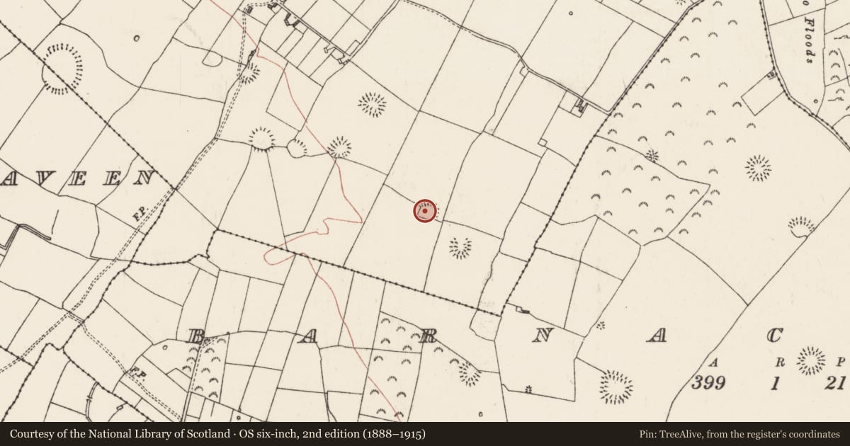 Ordnance Survey six-inch map, 2nd edition (1888–1915) covering the location of Ringfort - rath, Ballyglass, County Roscommon, with a pin at the register's coordinates