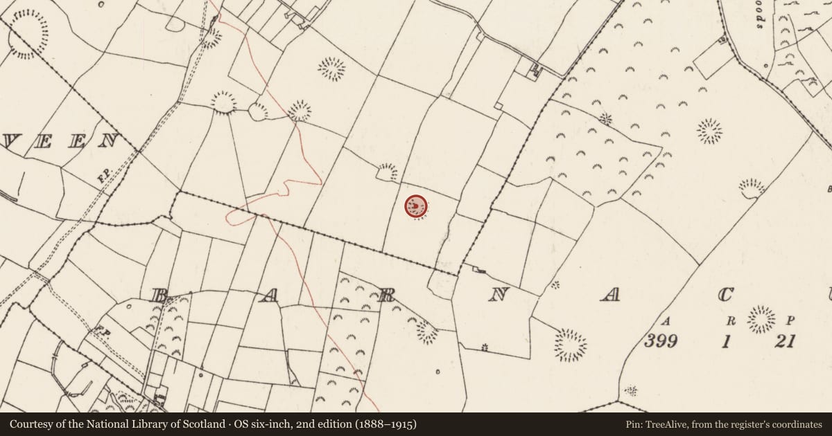 Ordnance Survey six-inch map, 2nd edition (1888–1915) covering the location of Ringfort - rath, Ballyglass, County Roscommon, with a pin at the register's coordinates
