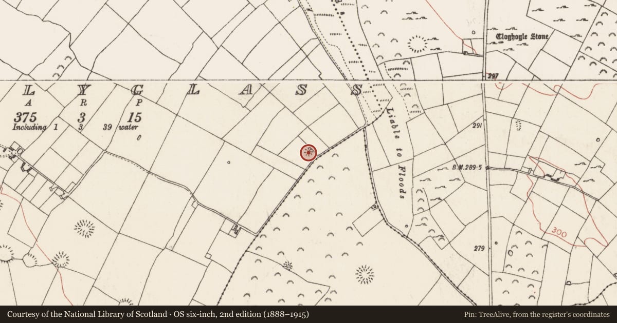 Ordnance Survey six-inch map, 2nd edition (1888–1915) covering the location of Barrow - embanked barrow, Ballyglass, County Roscommon, with a pin at the register's coordinates