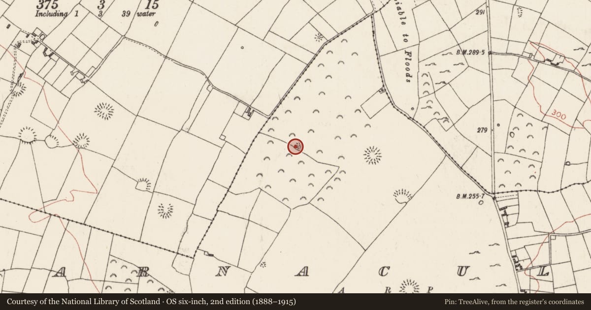 Ordnance Survey six-inch map, 2nd edition (1888–1915) covering the location of Barrow - embanked barrow, Barnacullen, County Roscommon, with a pin at the register's coordinates