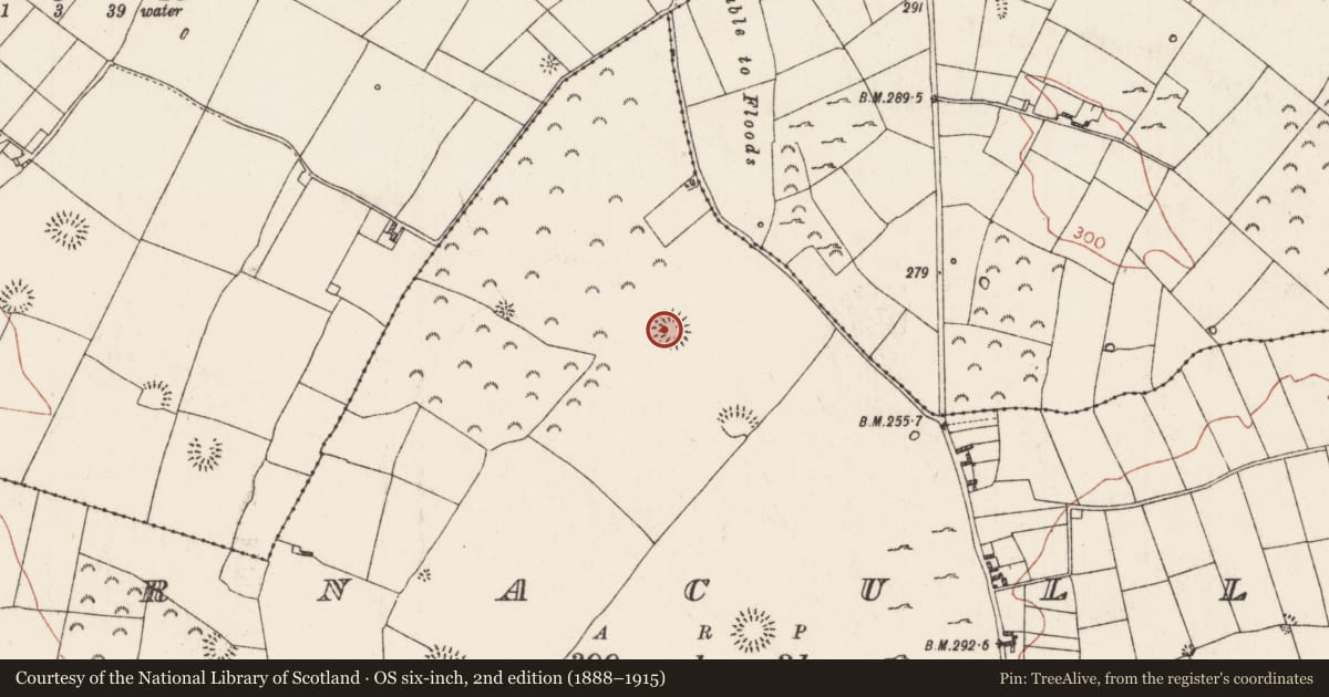 Ordnance Survey six-inch map, 2nd edition (1888–1915) covering the location of Ringfort - rath, Barnacullen, County Roscommon, with a pin at the register's coordinates