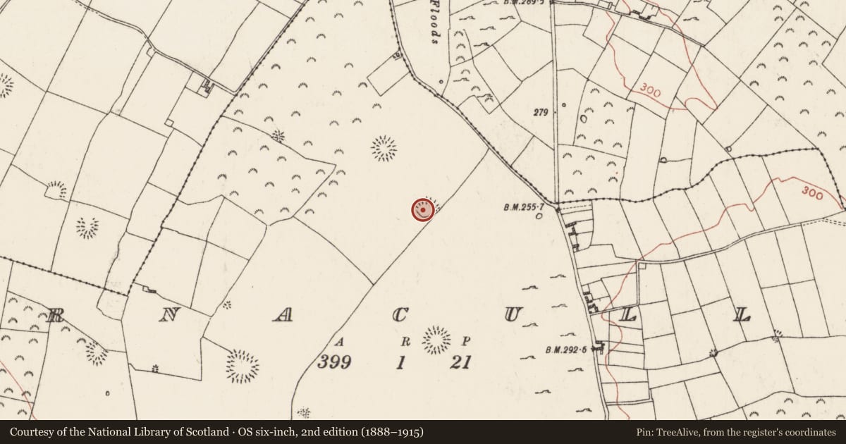 Ordnance Survey six-inch map, 2nd edition (1888–1915) covering the location of Ringfort - rath, Barnacullen, County Roscommon, with a pin at the register's coordinates