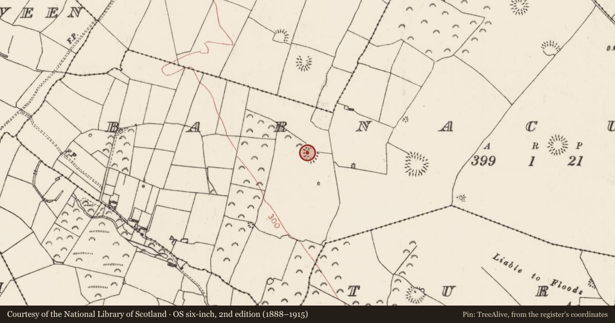 Ordnance Survey six-inch map, 2nd edition (1888–1915) covering the location of Ringfort - rath, Barnacullen, County Roscommon, with a pin at the register's coordinates