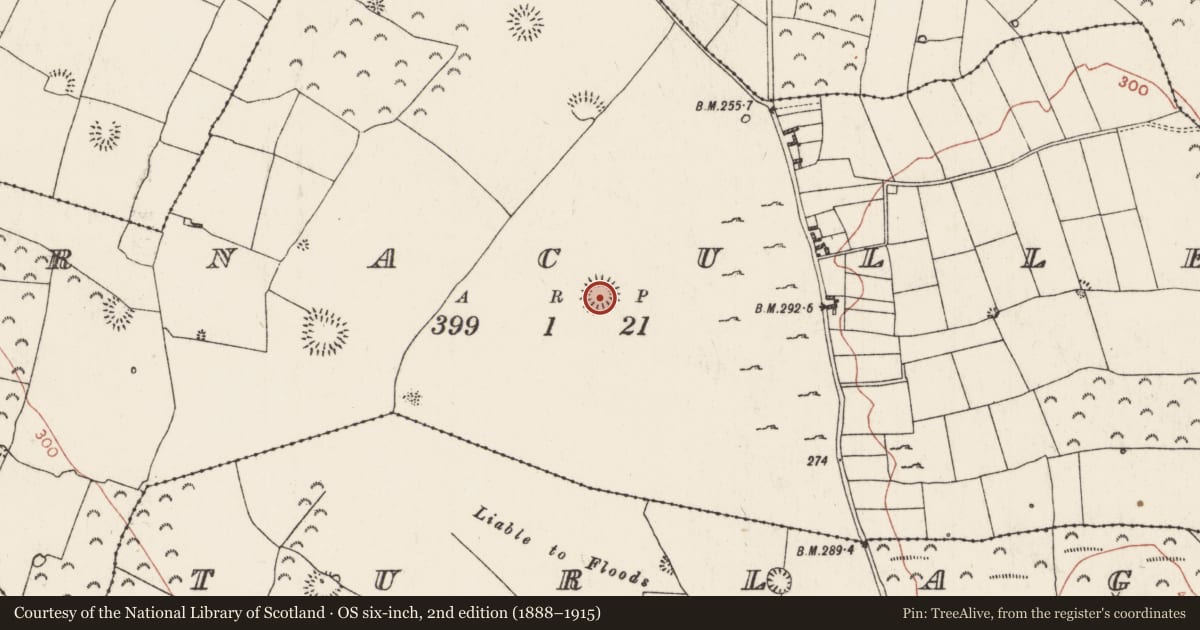Ordnance Survey six-inch map, 2nd edition (1888–1915) covering the location of Ringfort - rath, Barnacullen, County Roscommon, with a pin at the register's coordinates