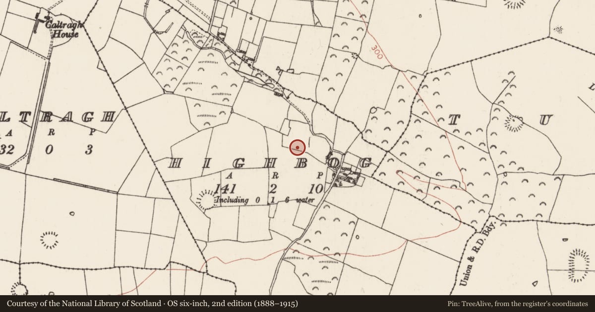 Ordnance Survey six-inch map, 2nd edition (1888–1915) covering the location of Sweathouse, Highbog, County Roscommon, with a pin at the register's coordinates
