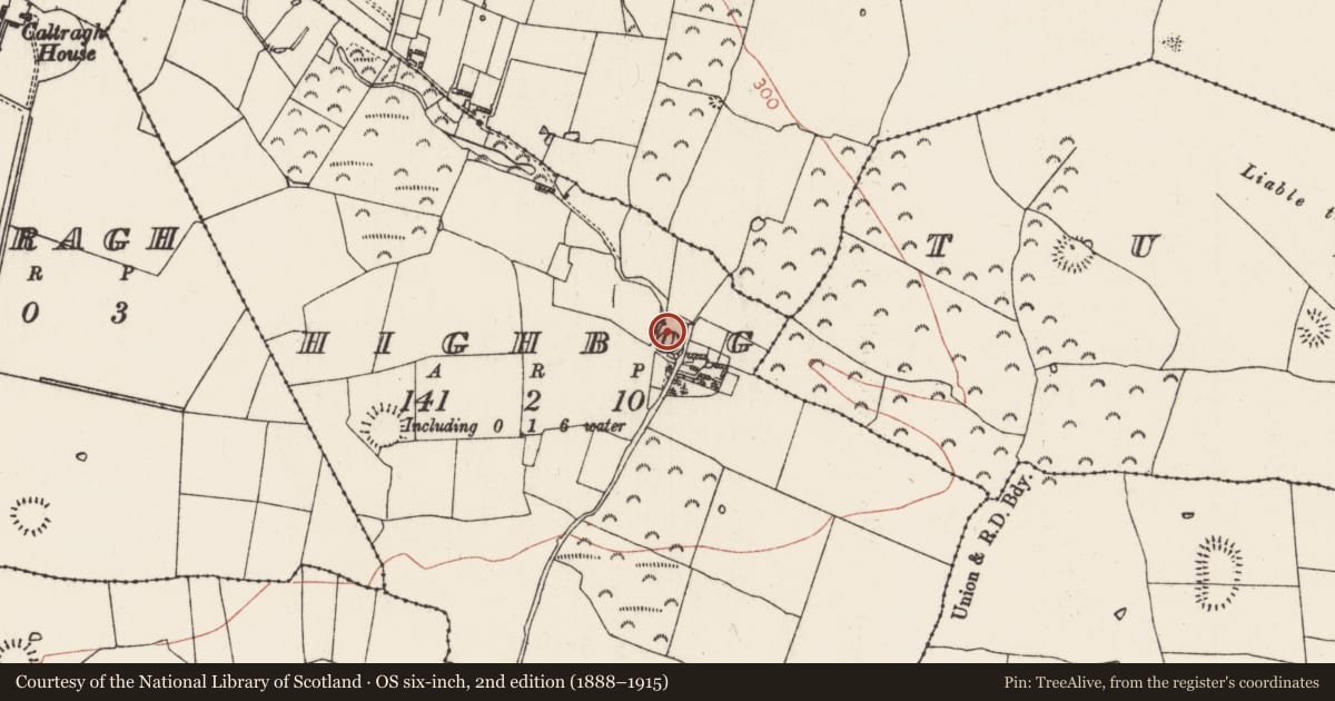 Ordnance Survey six-inch map, 2nd edition (1888–1915) covering the location of Ringfort - rath, Highbog, County Roscommon, with a pin at the register's coordinates