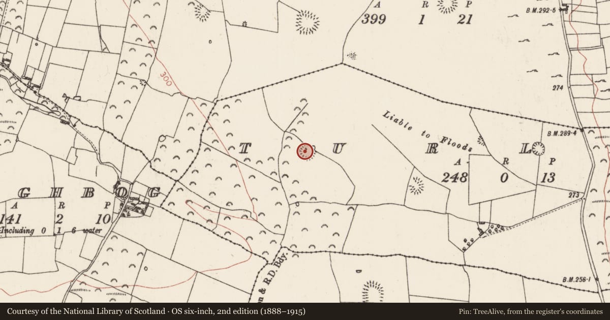 Ordnance Survey six-inch map, 2nd edition (1888–1915) covering the location of Ringfort - rath, Turlagh, County Roscommon, with a pin at the register's coordinates