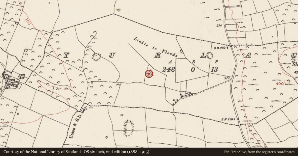Ordnance Survey six-inch map, 2nd edition (1888–1915) covering the location of Ringfort - rath, Turlagh, County Roscommon, with a pin at the register's coordinates