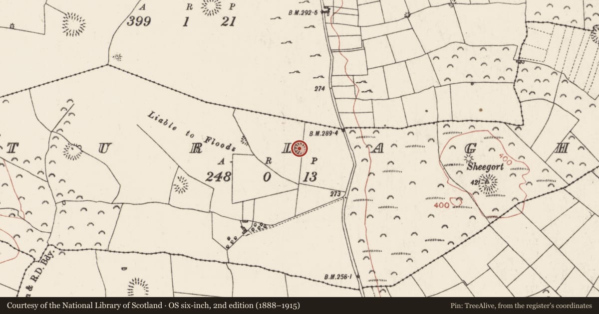 Ordnance Survey six-inch map, 2nd edition (1888–1915) covering the location of Ringfort - rath, Turlagh, County Roscommon, with a pin at the register's coordinates