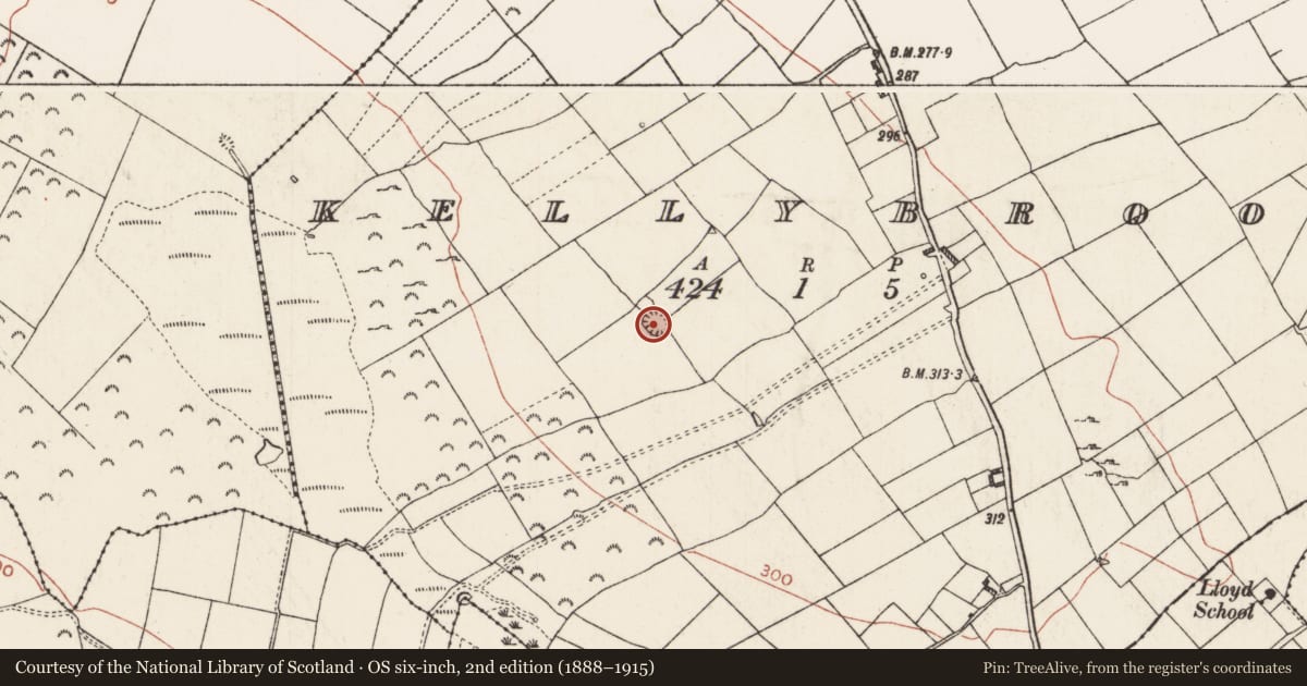 Ordnance Survey six-inch map, 2nd edition (1888–1915) covering the location of Ringfort - rath, Kellybrook, County Roscommon, with a pin at the register's coordinates