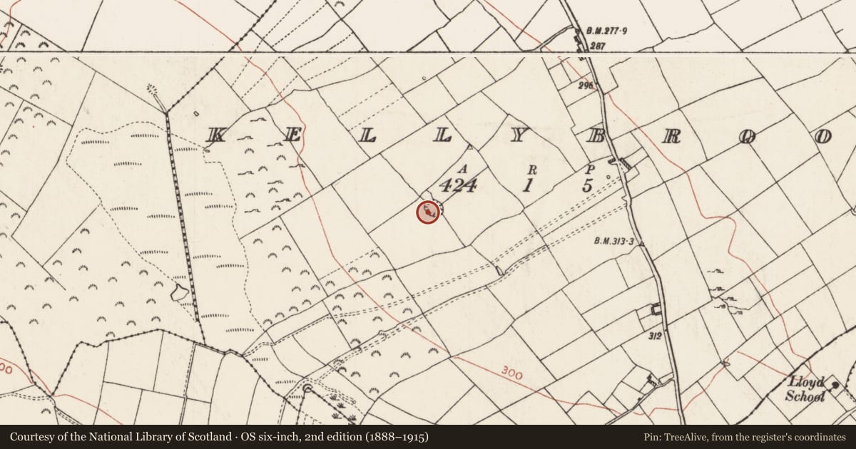 Ordnance Survey six-inch map, 2nd edition (1888–1915) covering the location of House - indeterminate date, Kellybrook, County Roscommon, with a pin at the register's coordinates