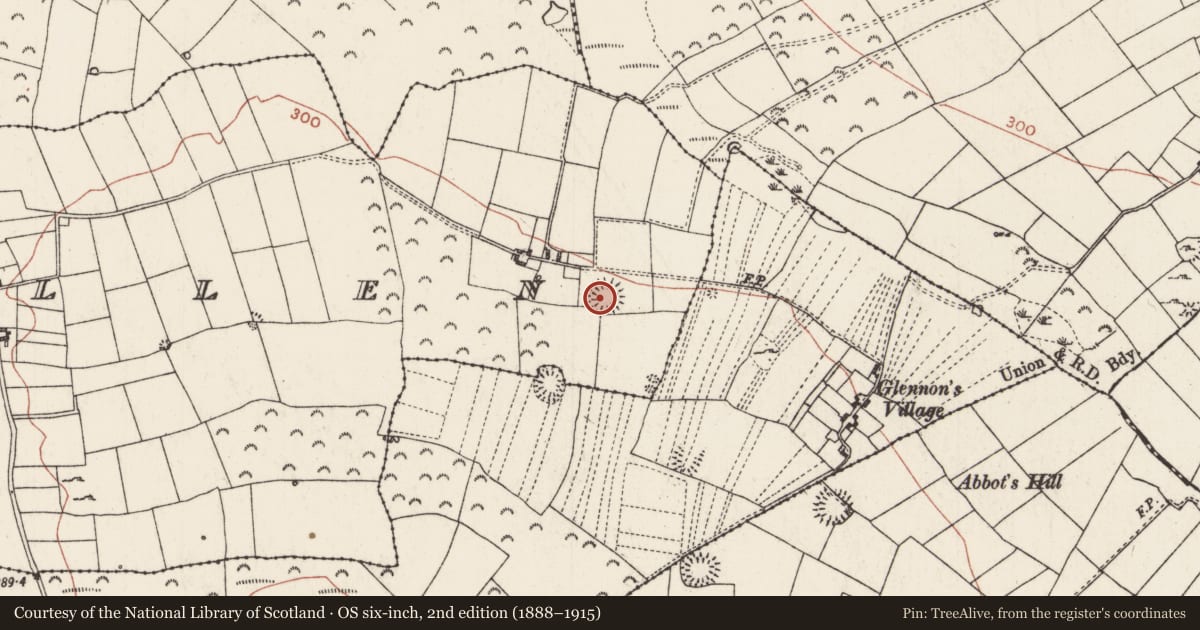 Ordnance Survey six-inch map, 2nd edition (1888–1915) covering the location of Ringfort - rath, Barnacullen, County Roscommon, with a pin at the register's coordinates