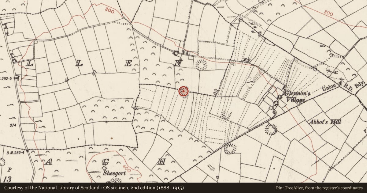 Ordnance Survey six-inch map, 2nd edition (1888–1915) covering the location of Ringfort - rath, Turlagh, County Roscommon, with a pin at the register's coordinates