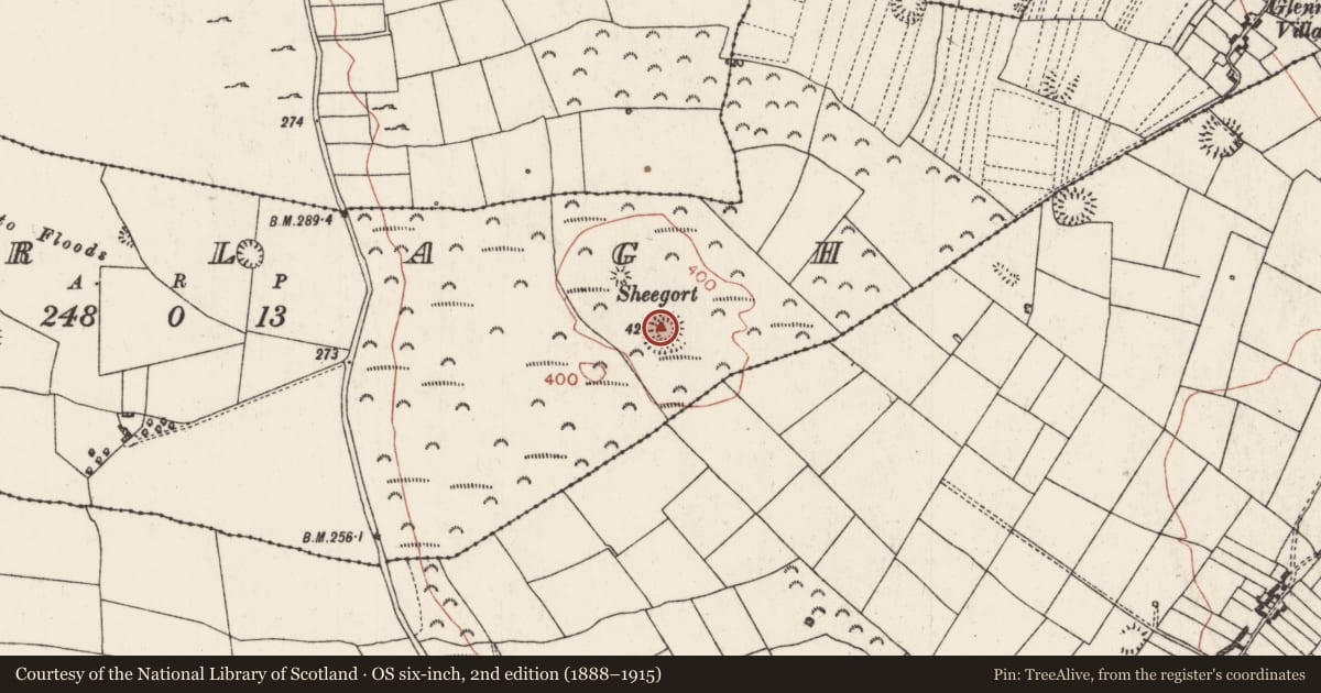 Ordnance Survey six-inch map, 2nd edition (1888–1915) covering the location of Barrow - stepped barrow, Turlagh, County Roscommon, with a pin at the register's coordinates