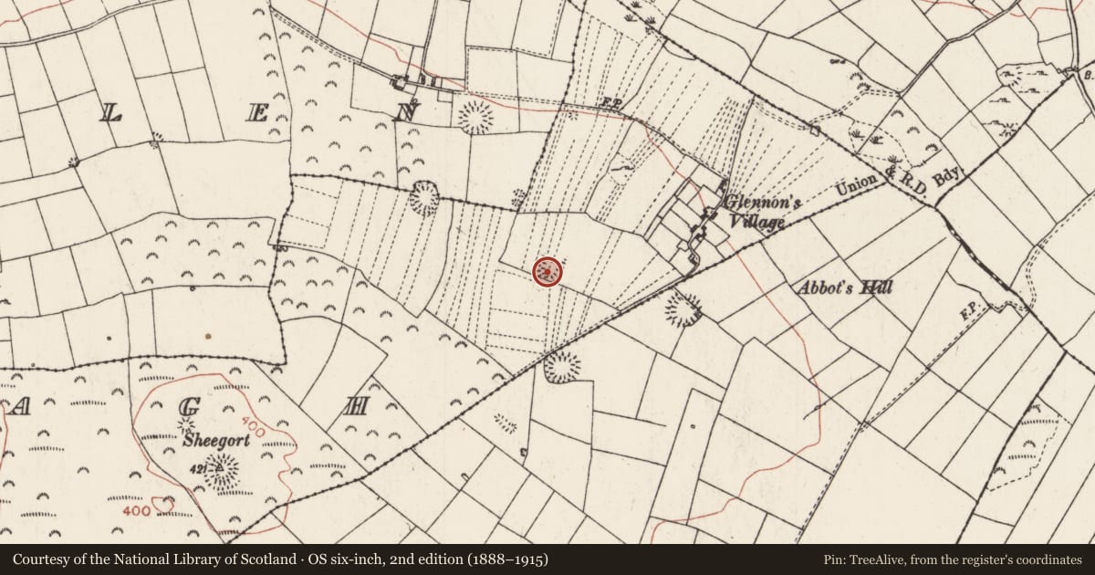 Ordnance Survey six-inch map, 2nd edition (1888–1915) covering the location of Ringfort - rath, Turlagh, County Roscommon, with a pin at the register's coordinates