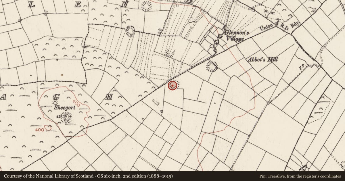 Ordnance Survey six-inch map, 2nd edition (1888–1915) covering the location of Ringfort - rath, Ballagh, County Roscommon, with a pin at the register's coordinates