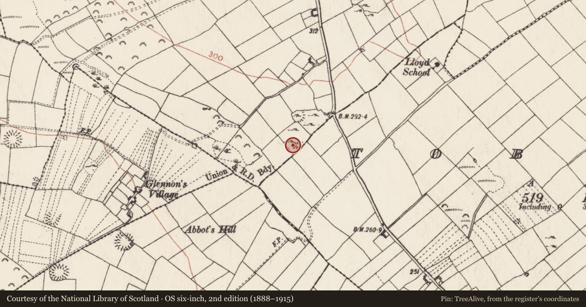 Ordnance Survey six-inch map, 2nd edition (1888–1915) covering the location of Hut site, Kellybrook, County Roscommon, with a pin at the register's coordinates
