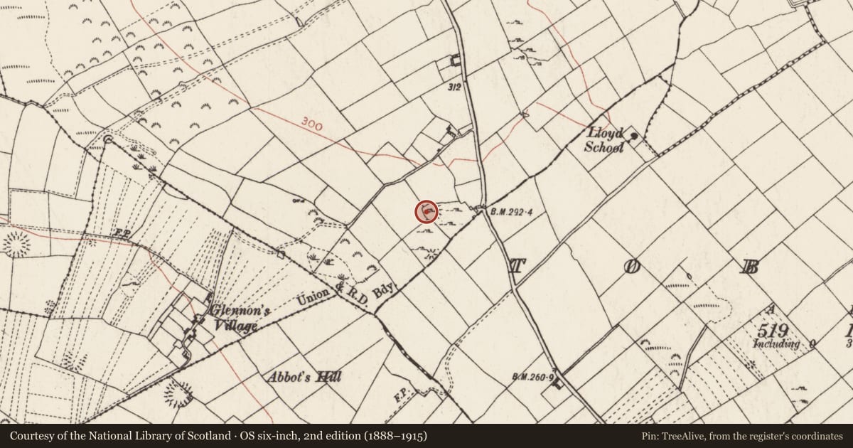 Ordnance Survey six-inch map, 2nd edition (1888–1915) covering the location of Ringfort - cashel, Kellybrook, County Roscommon, with a pin at the register's coordinates
