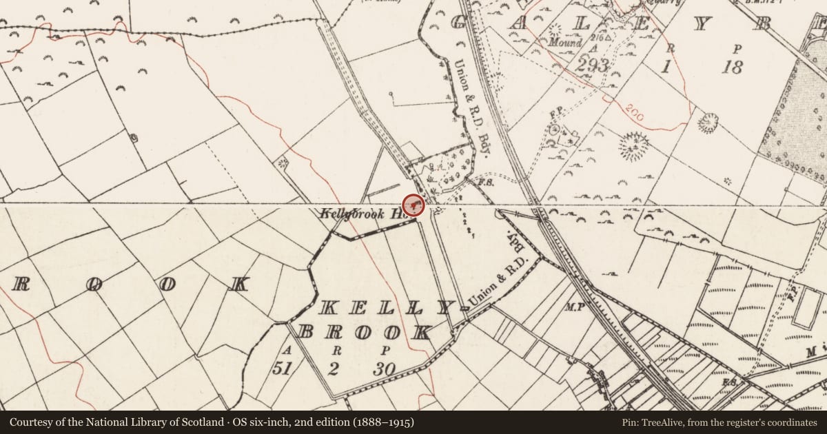 Ordnance Survey six-inch map, 2nd edition (1888–1915) covering the location of House - 18th century, Kellybrook, County Roscommon, with a pin at the register's coordinates