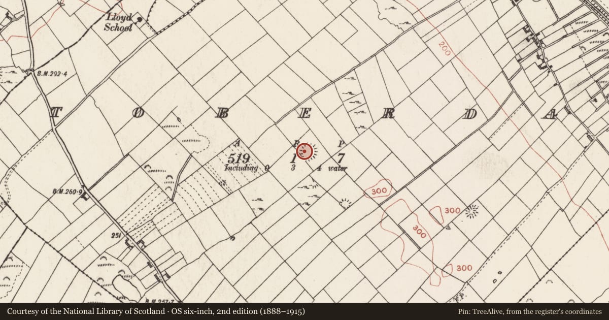 Ordnance Survey six-inch map, 2nd edition (1888–1915) covering the location of Ringfort - rath, Toberdan, County Roscommon, with a pin at the register's coordinates