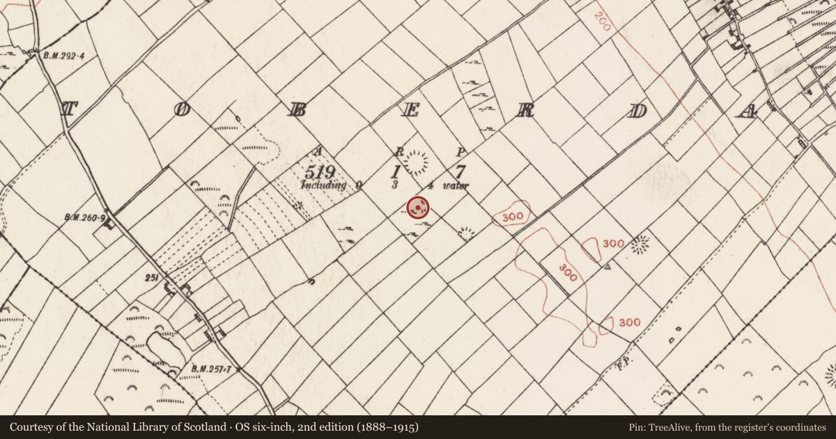 Ordnance Survey six-inch map, 2nd edition (1888–1915) covering the location of Barrow - mound barrow, Toberdan, County Roscommon, with a pin at the register's coordinates