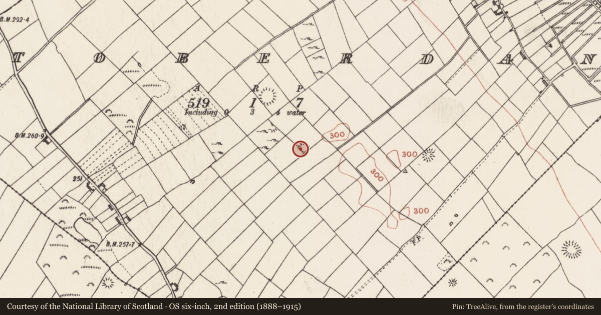 Ordnance Survey six-inch map, 2nd edition (1888–1915) covering the location of Cist, Toberdan, County Roscommon, with a pin at the register's coordinates