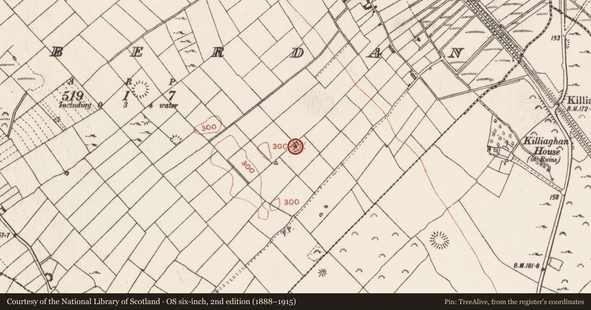 Ordnance Survey six-inch map, 2nd edition (1888–1915) covering the location of Ringfort - rath, Toberdan, County Roscommon, with a pin at the register's coordinates