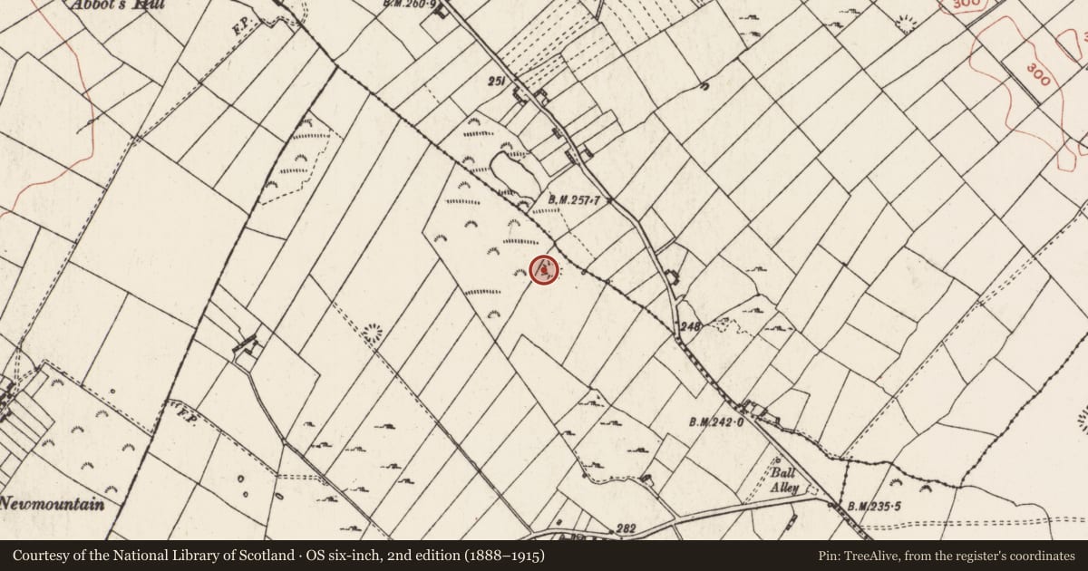 Ordnance Survey six-inch map, 2nd edition (1888–1915) covering the location of Barrow - ring-barrow, Carrigan More, County Roscommon, with a pin at the register's coordinates