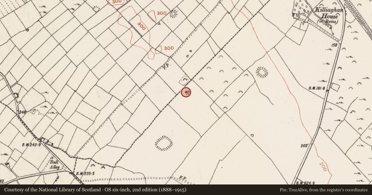 Ordnance Survey six-inch map, 2nd edition (1888–1915) covering the location of Barrow - ring-barrow, Killiaghan And Gort, County Roscommon, with a pin at the register's coordinates